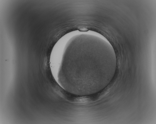 X0000111140219200908111120