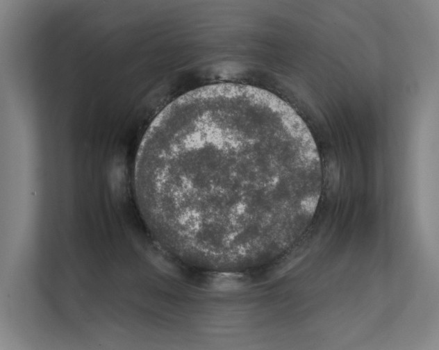 X0000111140222200908111120