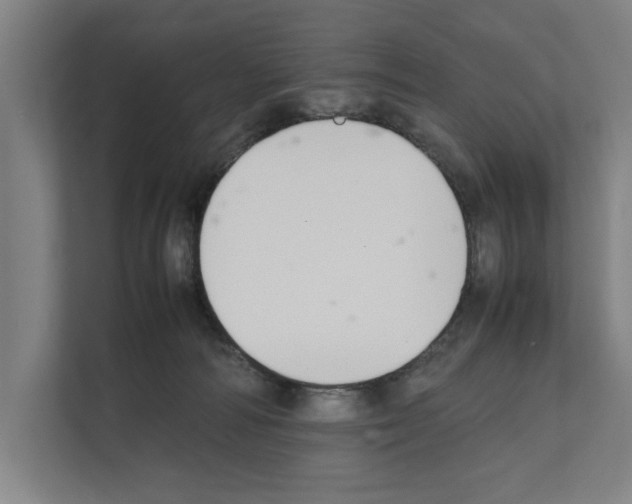 X0000111140226200908111120