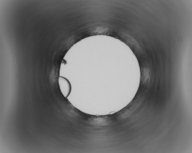 X0000111140236200908111120