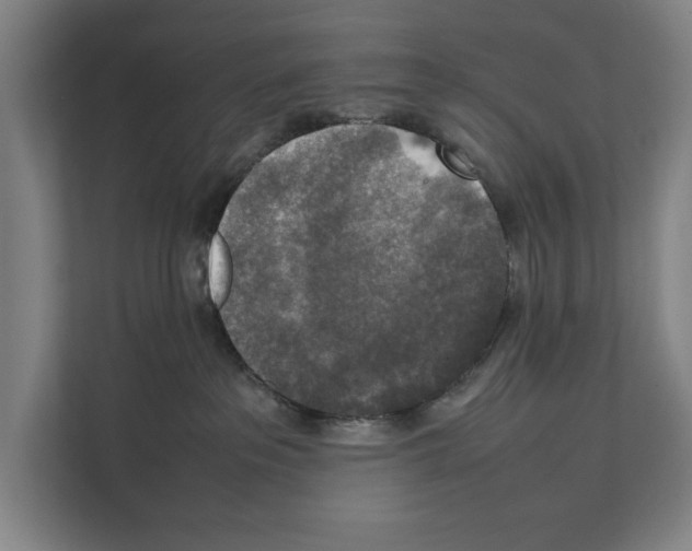 X0000111140237200908111120