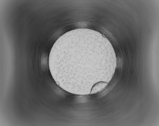 X0000111140238200908111120