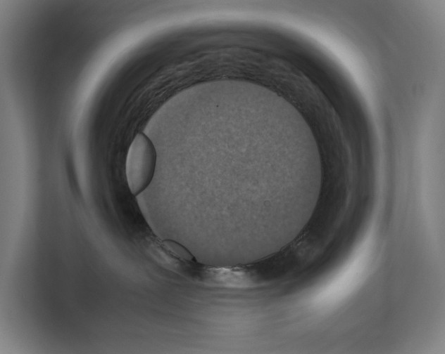 X0000111140239200908111120