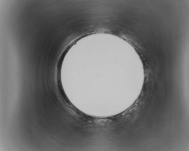 X0000111140242200908111119