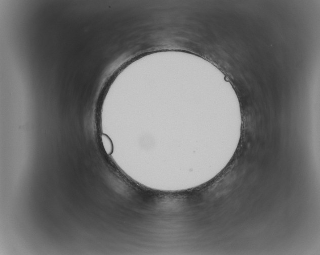 X0000111140248200908111119