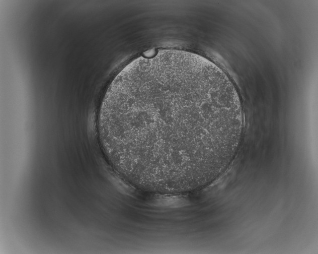 X0000111140249200908111119