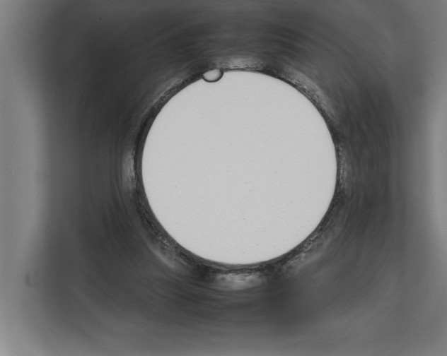 X0000111140251200908111119