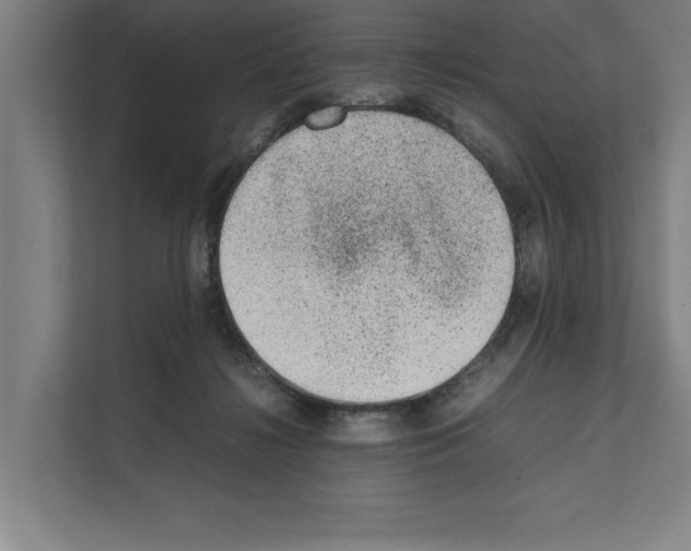 X0000111140268200908111120