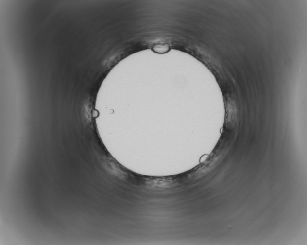 X0000111140282200908111120