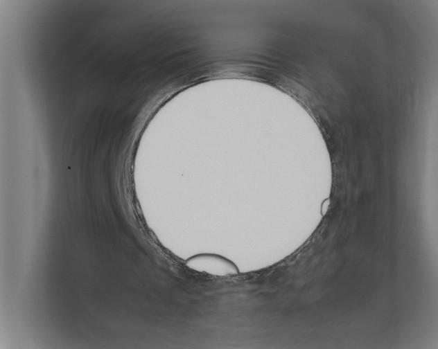 X0000111140289200908111119