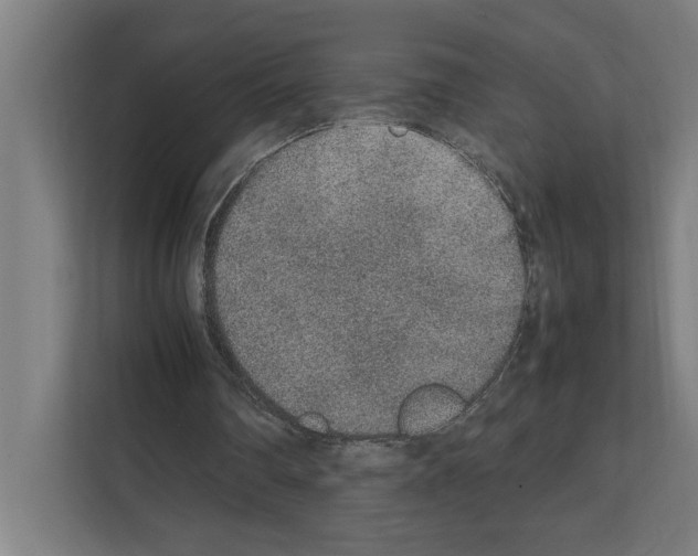 X0000111140290200908111119