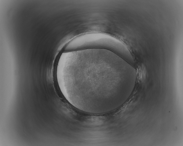 X0000111140292200908111119