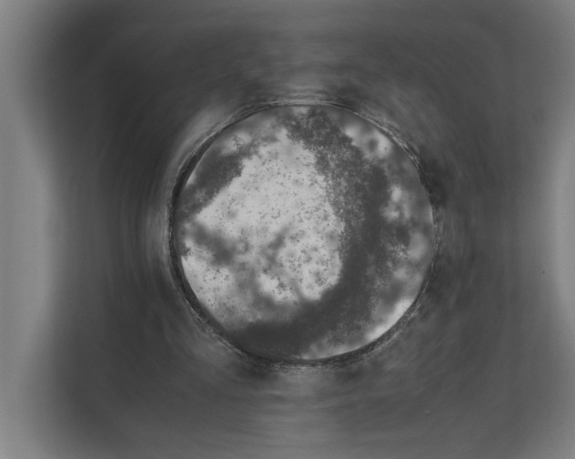 X0000111140293200908111119