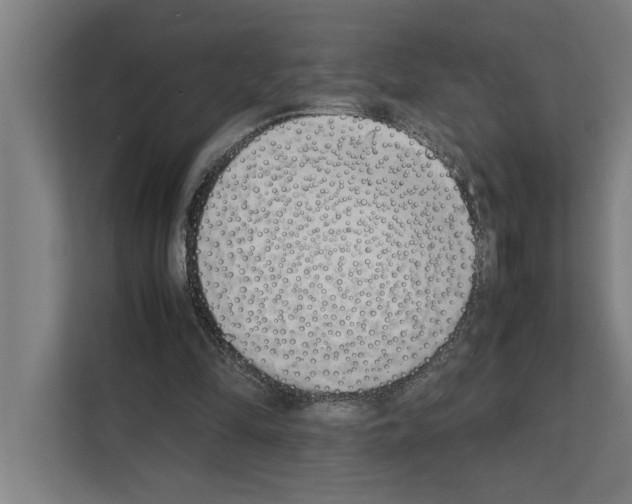 X0000111140294200908111119