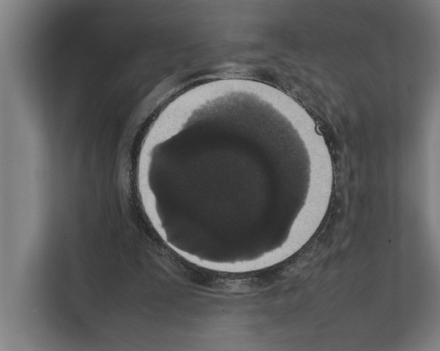 X0000111140295200908111119