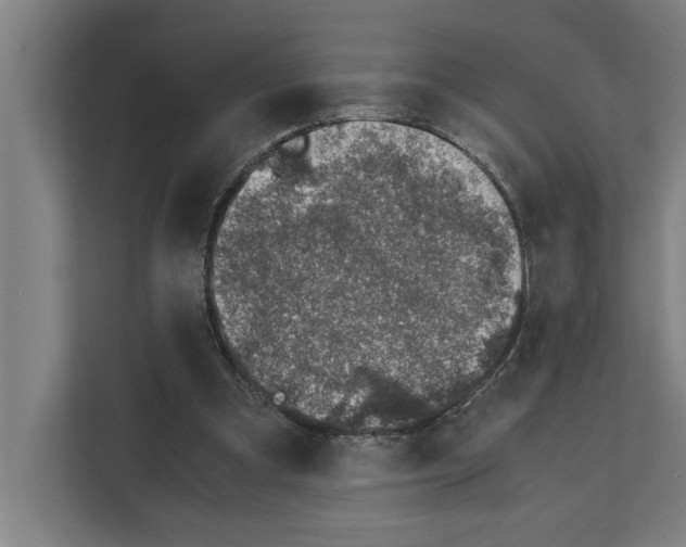 X0000111140297200908111119