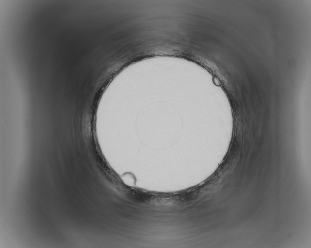 X0000111140299200908111119