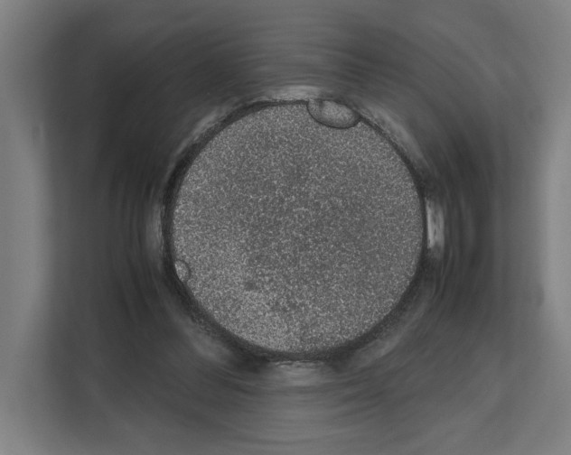 X0000111140300200908111119