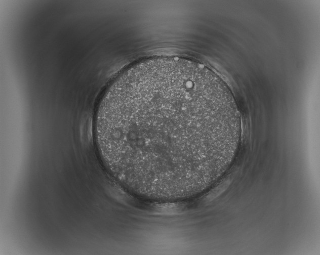 X0000111140301200908111119