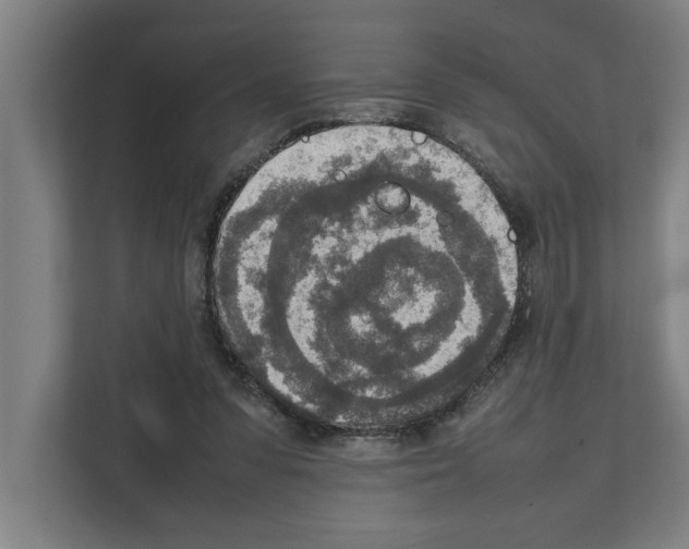 X0000111140303200908111119