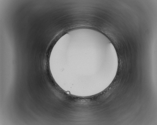 X0000111140304200908111119