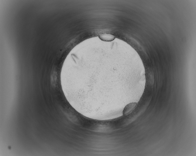 X0000111140308200908111119