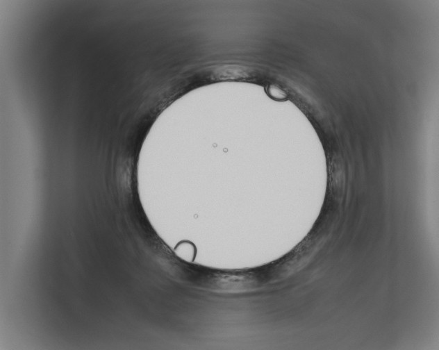 X0000111140315200908111119