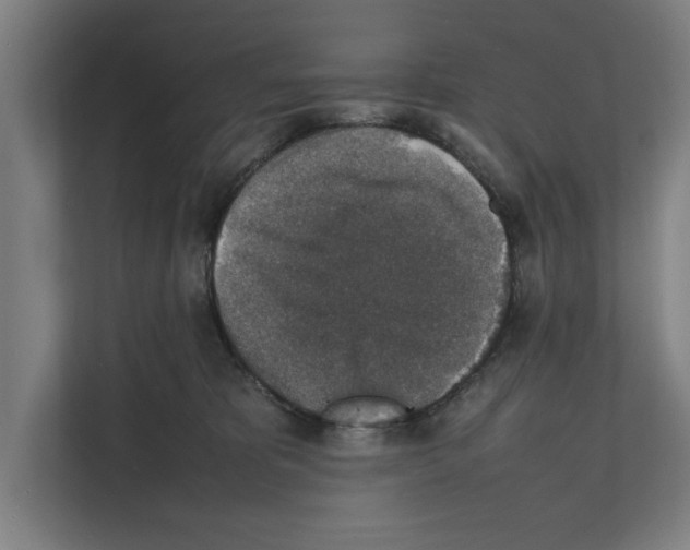 X0000111140325200908111119