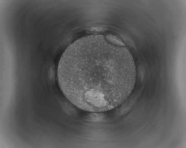 X0000111140328200908111119