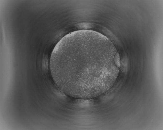 X0000111140330200908111119