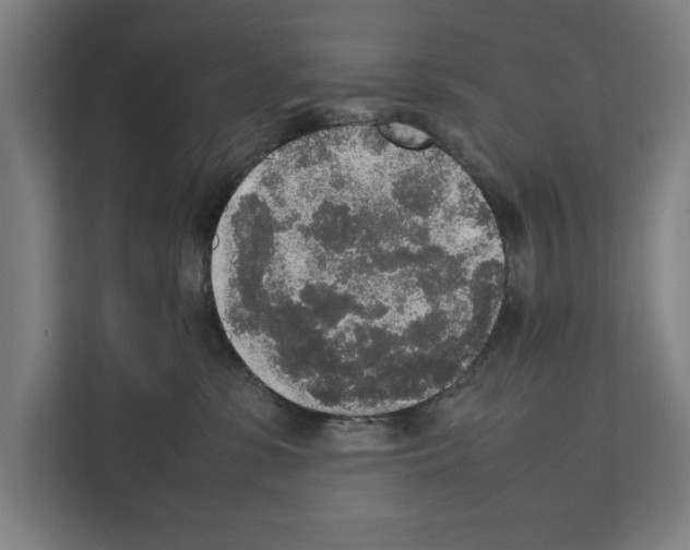 X0000111140331200908111119