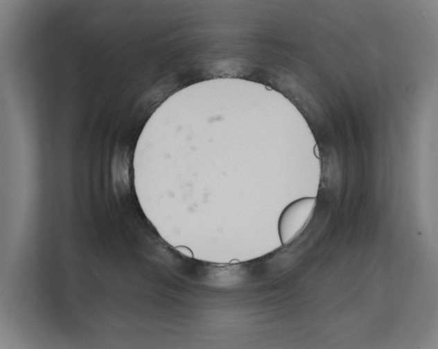 X0000111140334200908111119