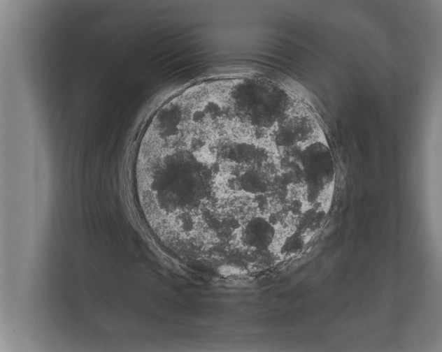 X0000111140337200908111118