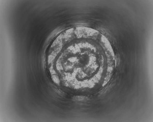 X0000111140339200908111118