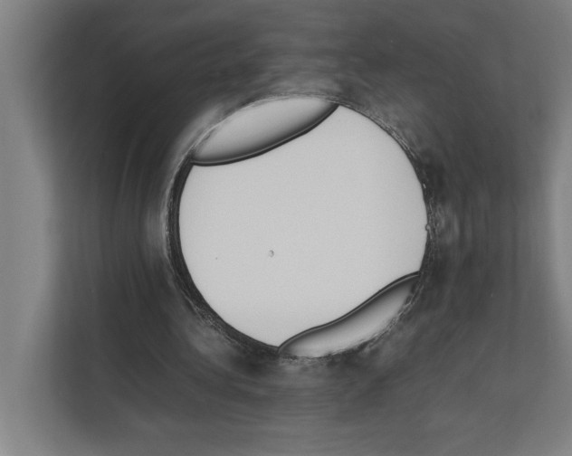 X0000111140340200908111118