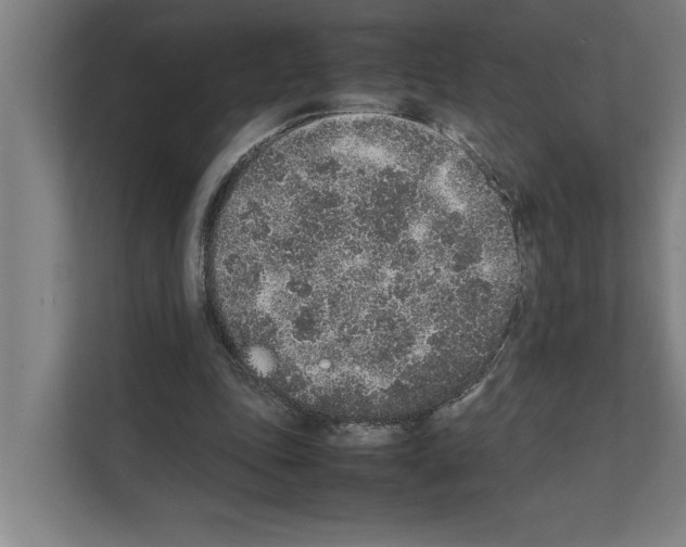 X0000111140343200908111118