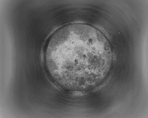 X0000111140347200908111118