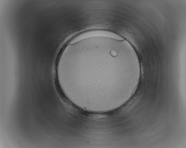 X0000111140348200908111118