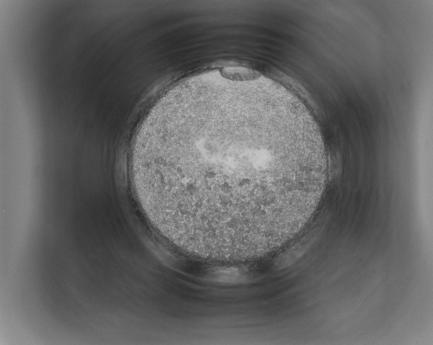 X0000111140349200908111118