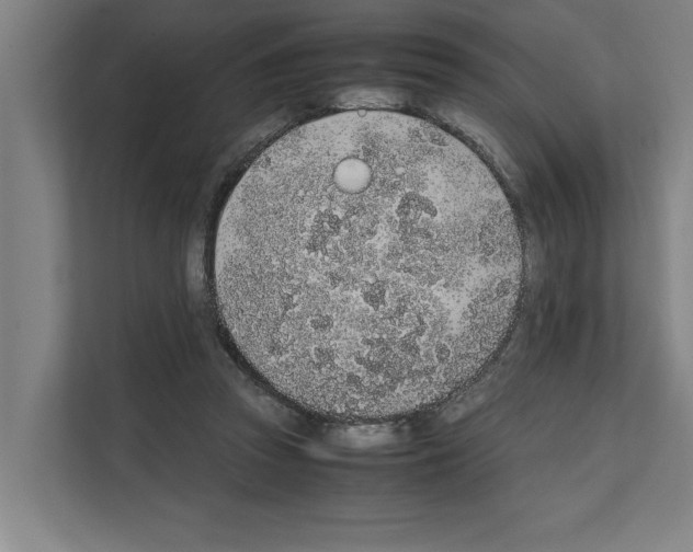 X0000111140353200908111118