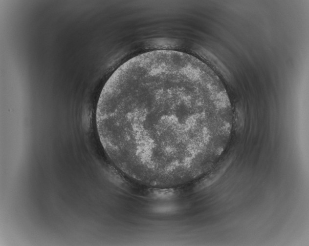 X0000111140355200908111118