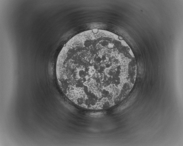 X0000111140357200908111118