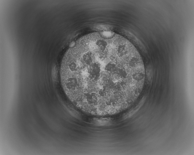 X0000111140359200908111118