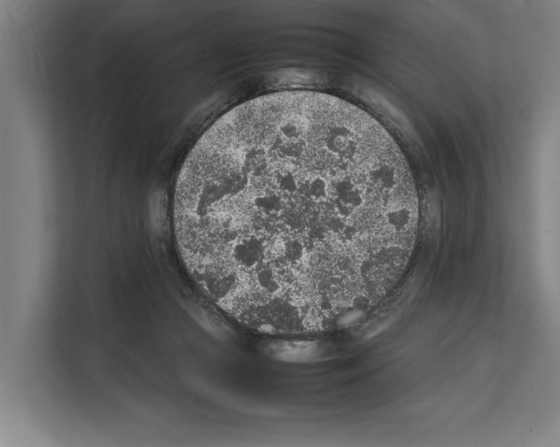 X0000111140361200908111118