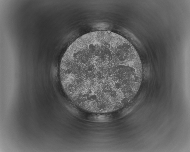 X0000111140365200908111118