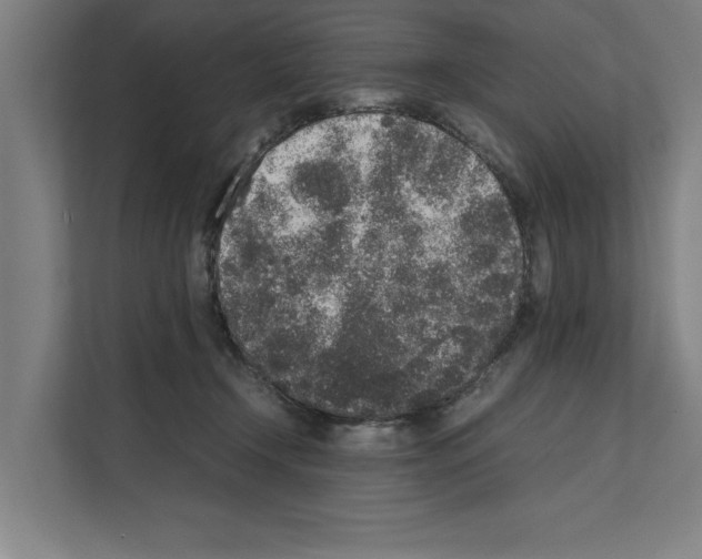 X0000111140366200908111118