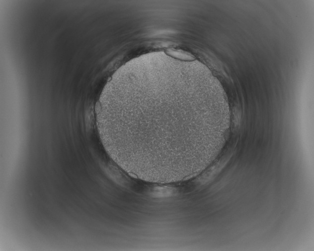 X0000111140376200908111119