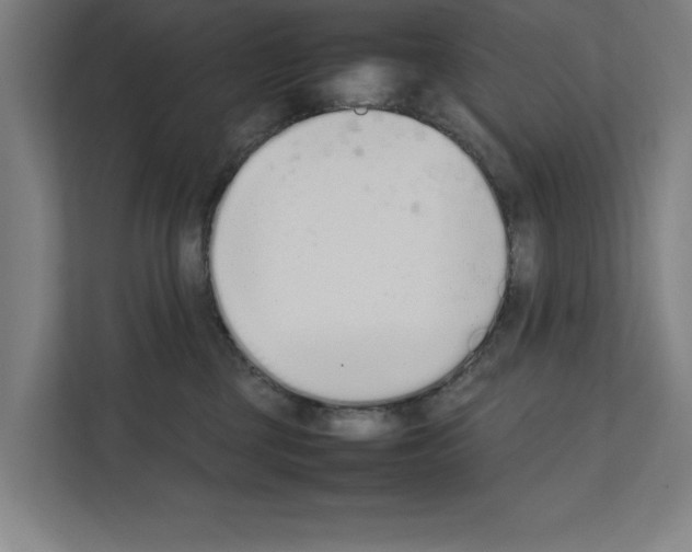 X0000111140377200908111119