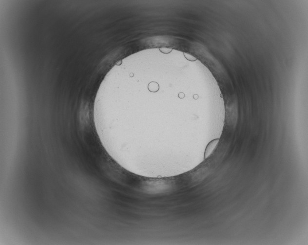 X0000111140381200908111119