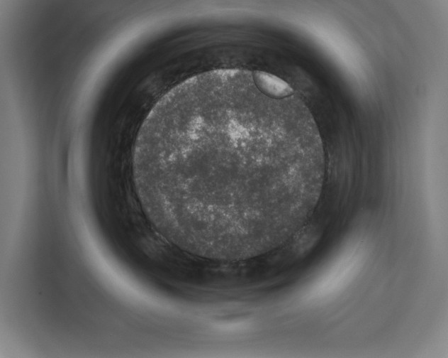 X0000111140383200908111119